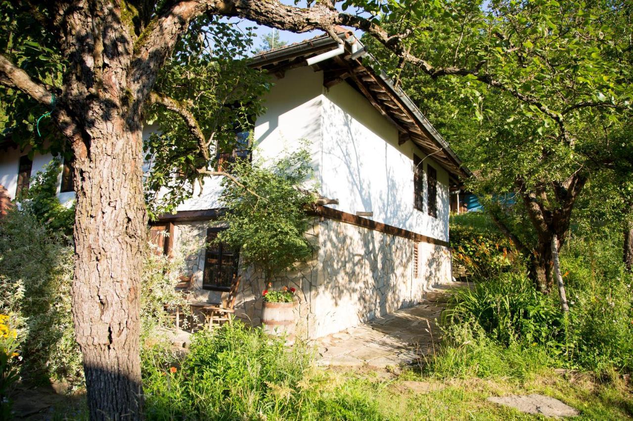 Little River Guest House Gabrova Dış mekan fotoğraf